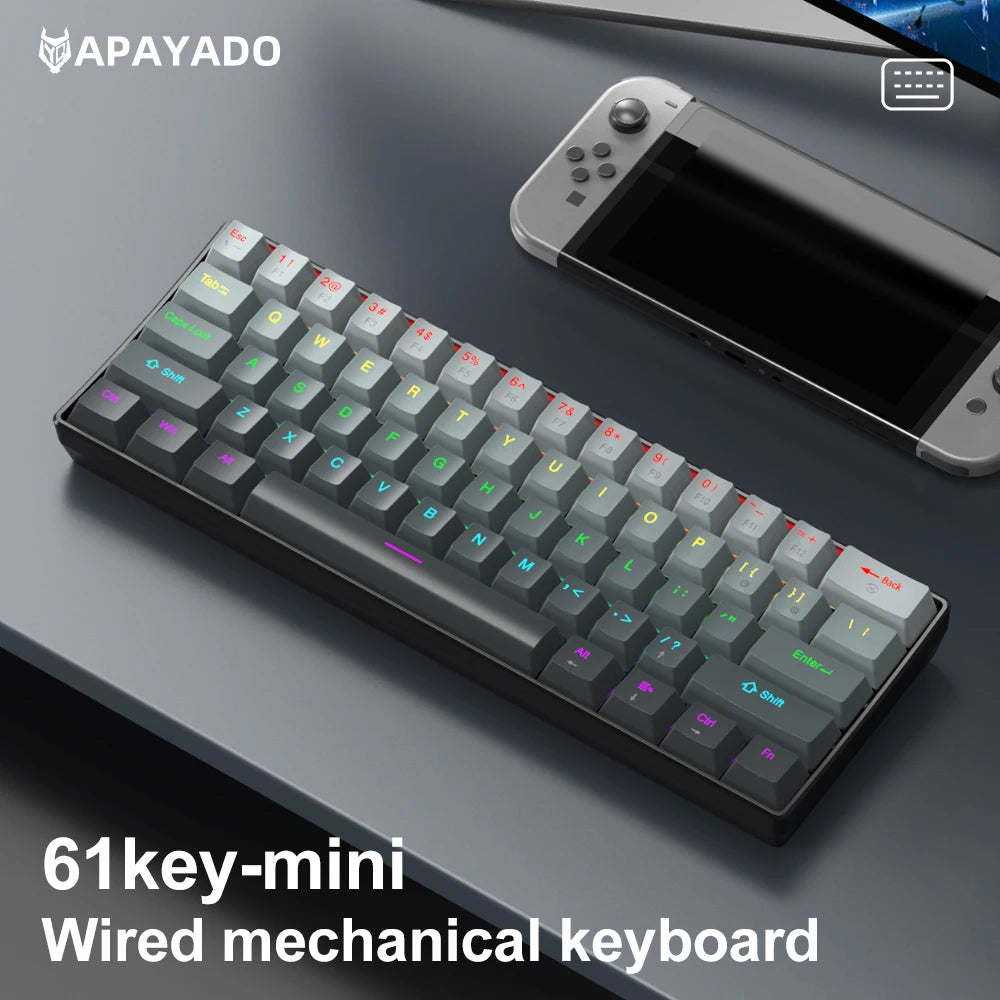Mechanical keyboard  Wired Gradient 60%