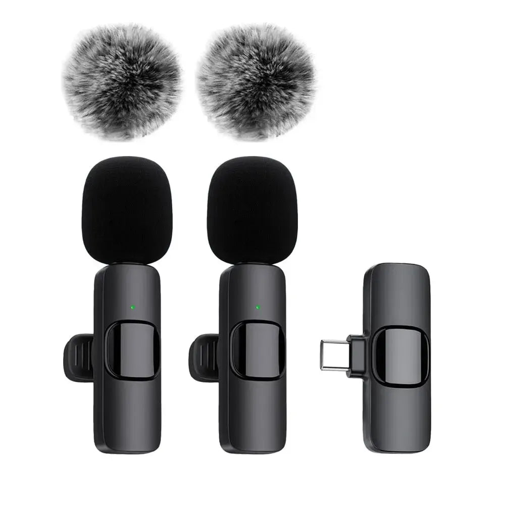 Microphone Audio Video Recording Mini Mic