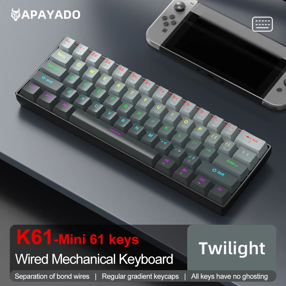 Mechanical keyboard  Wired Gradient 60%