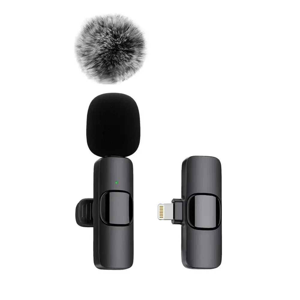 Microphone Audio Video Recording Mini Mic