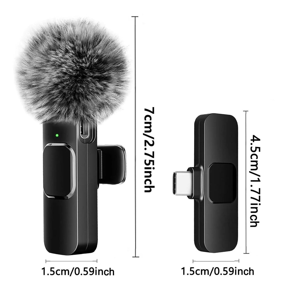 Microphone Audio Video Recording Mini Mic