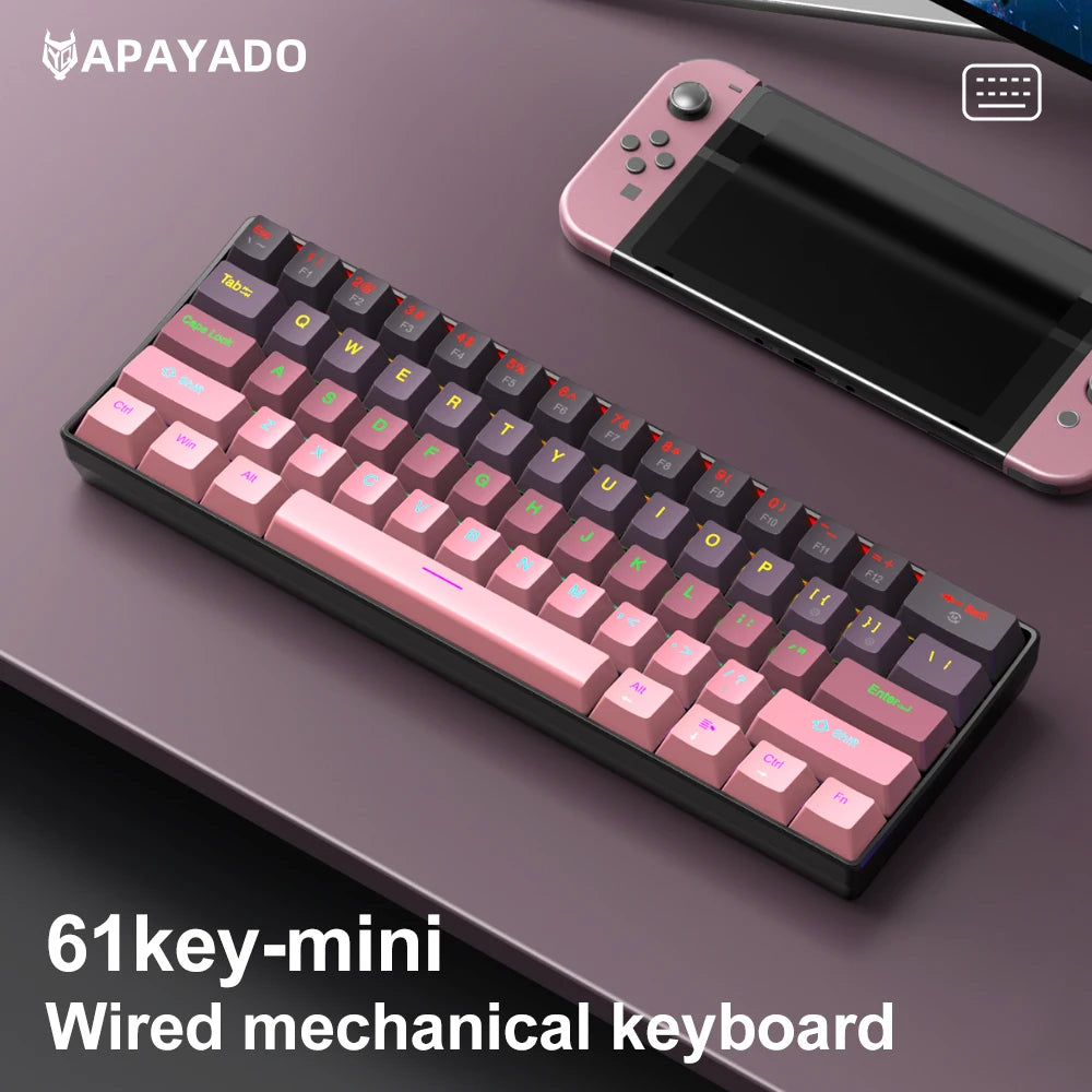 Mechanical keyboard  Wired Gradient 60%