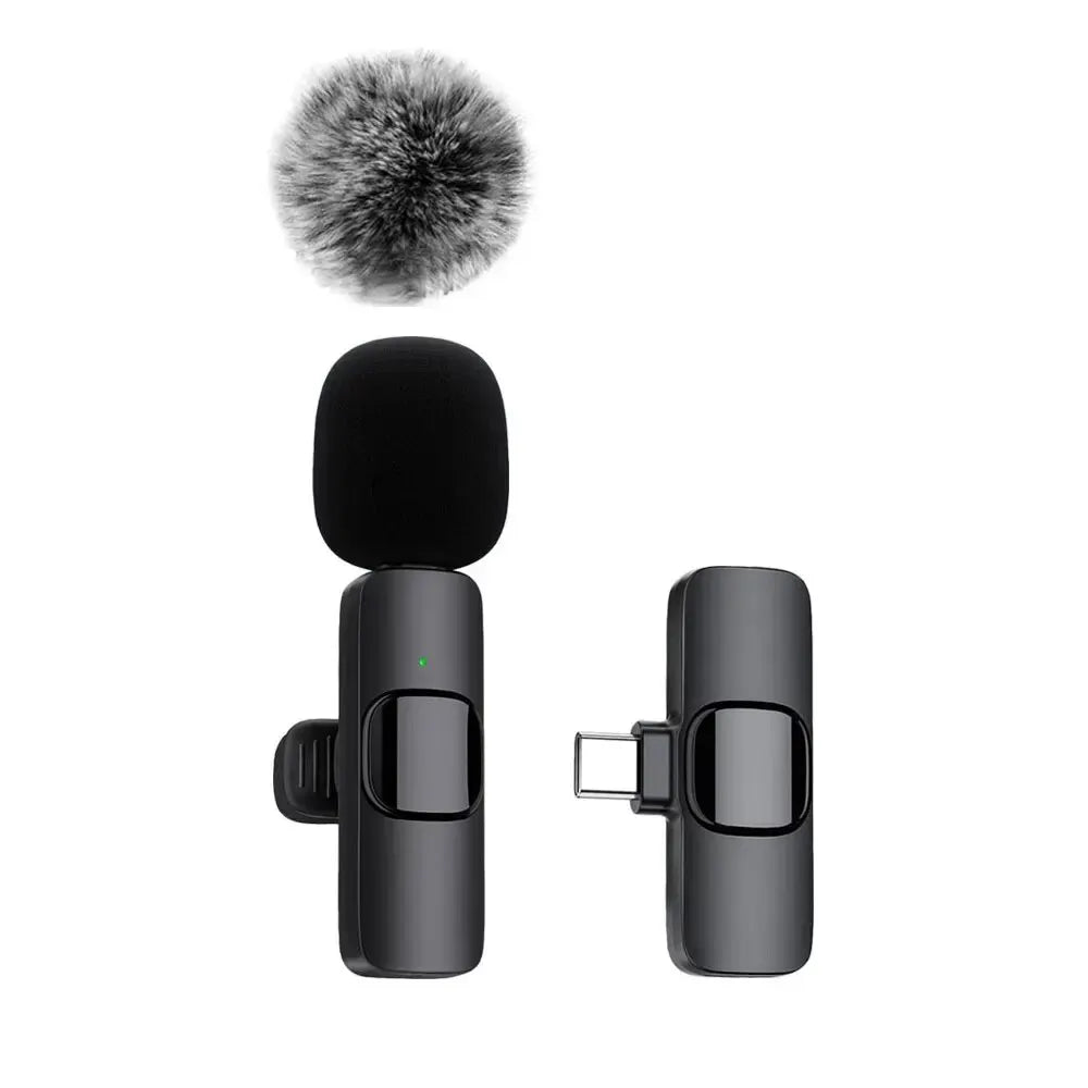 Microphone Audio Video Recording Mini Mic