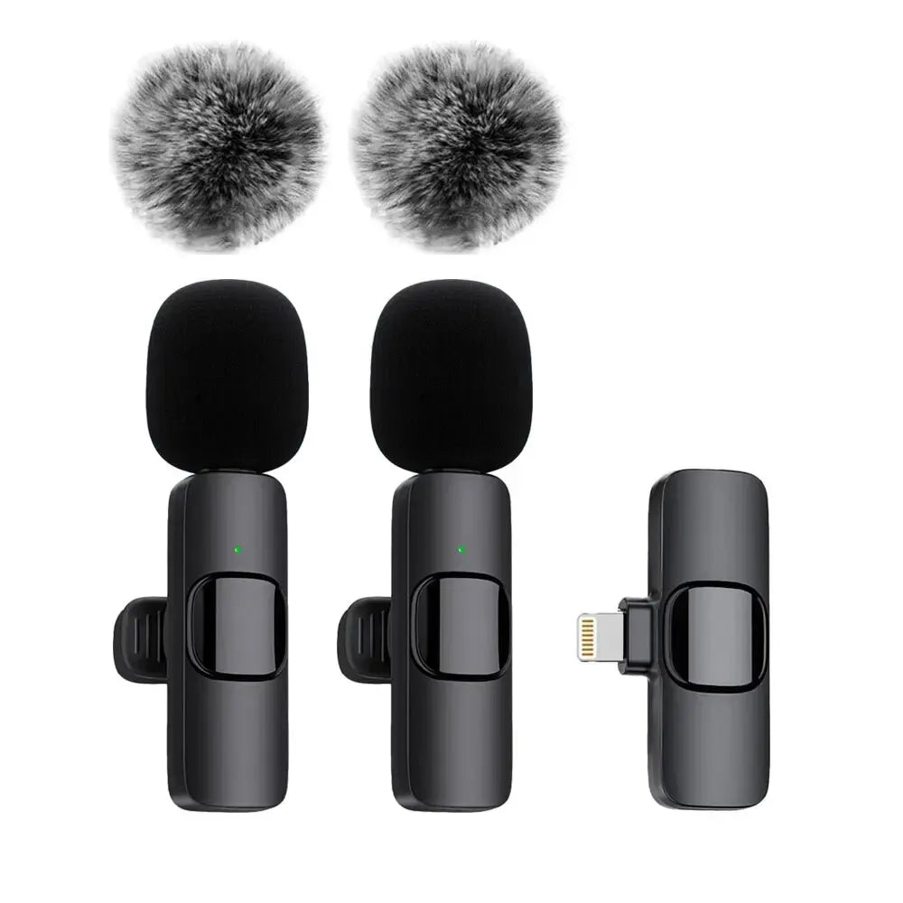 Microphone Audio Video Recording Mini Mic