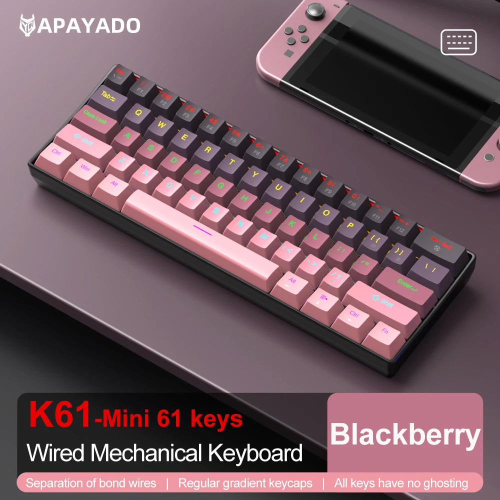 Mechanical keyboard  Wired Gradient 60%